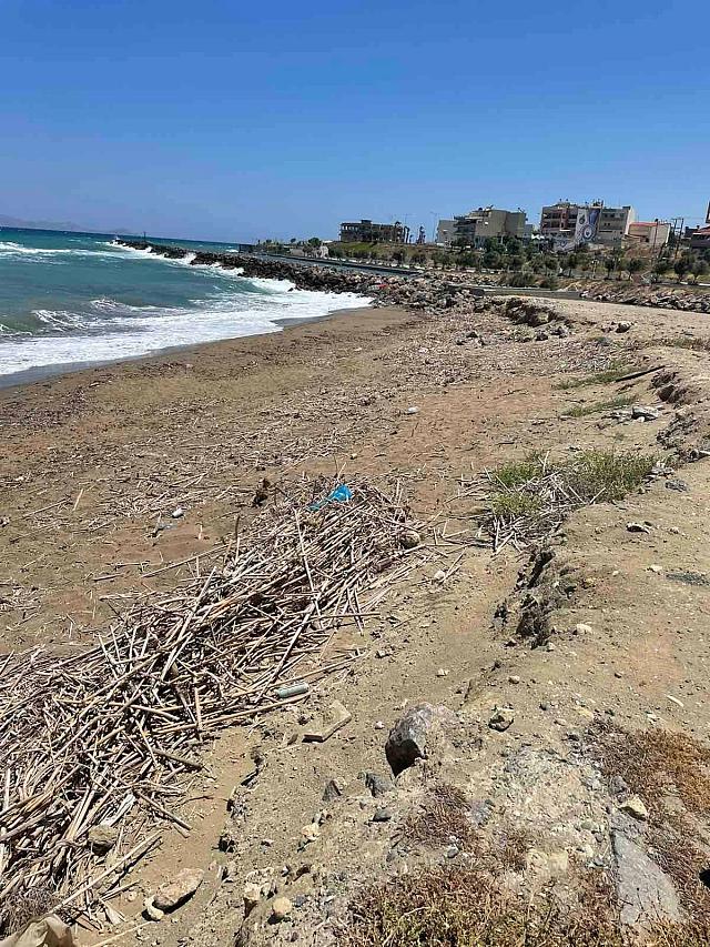 καθαρισμος παραλια