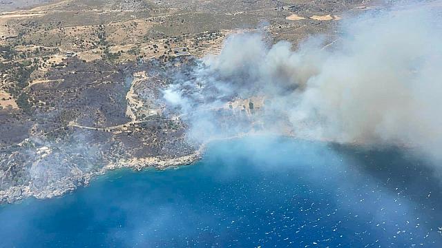 ροδακινο φωτια