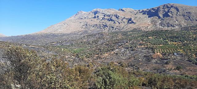 καμμένη γη