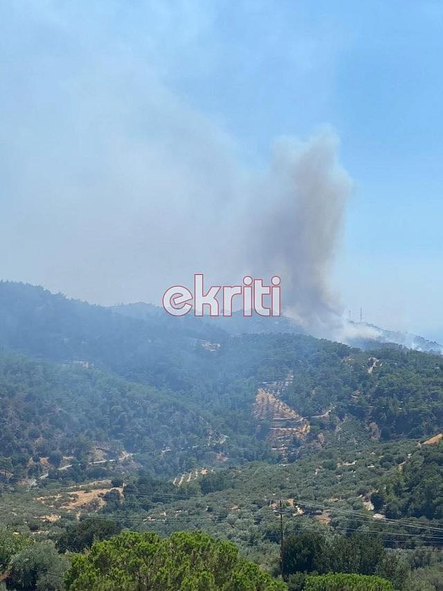 Η φωτιά - που έχει εκδηλωθεί σε δύσβατο σημείο - καίει χορτολιβαδική και γεωργική έκταση.