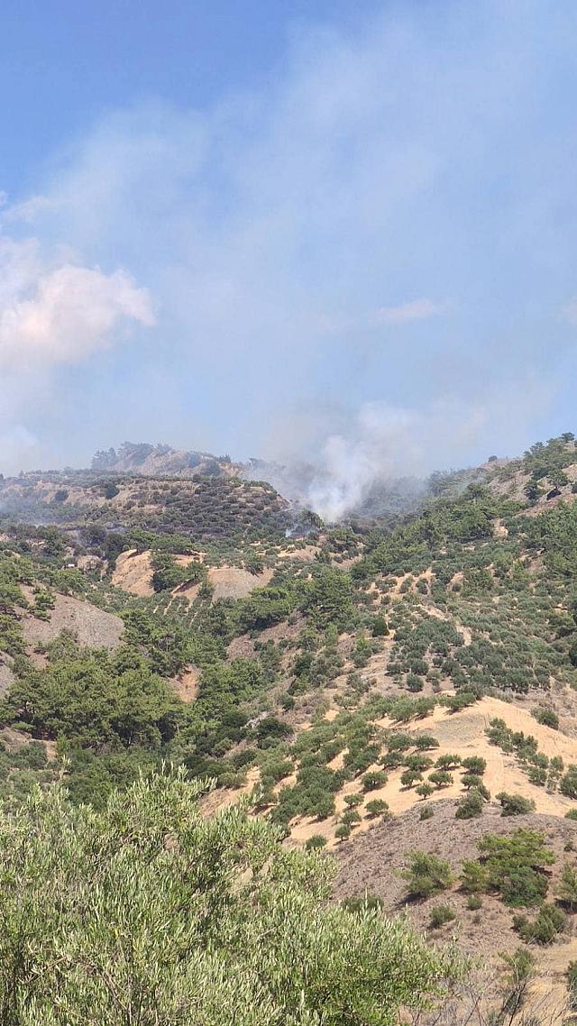 Μεγάλη μάχη των πυροσβεστικών δυνάμεων για την κατάσβεση της φωτιάς στη Βιάννο