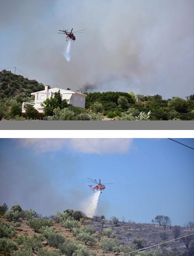 Αργολίδα - Πυρκαγιά