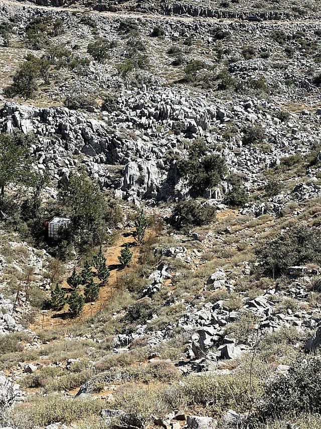 Μεγάλη επιχείρηση της αστυνομίας - Εντοπίστηκαν 327 χασισόδεντρα
