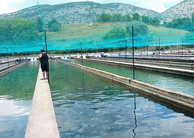 Κεφαλάρι Δράμας