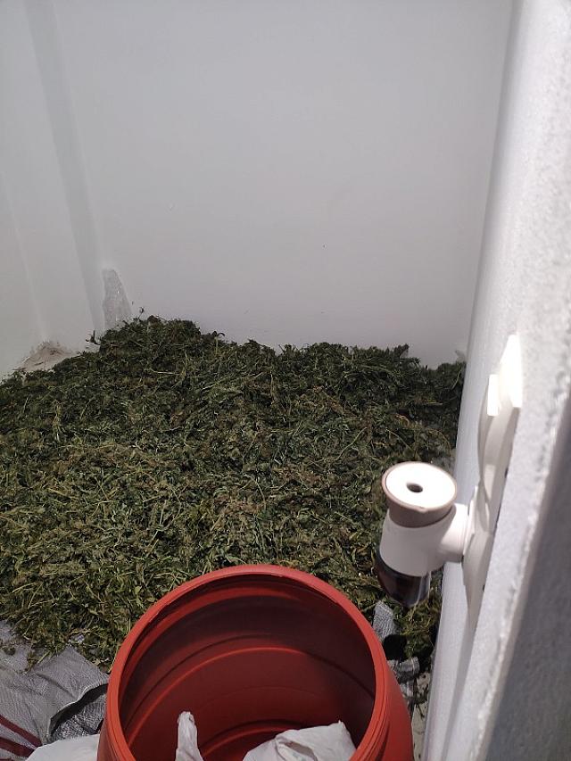 κάνναβη ρέθυμνο