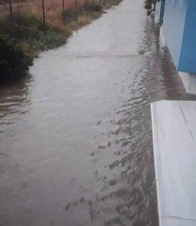αμμουδάρα