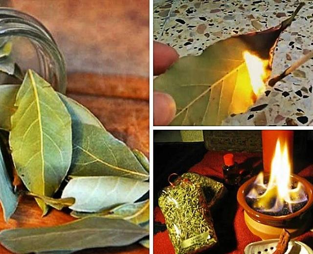 θεραπεία με φύλλα δάφνης