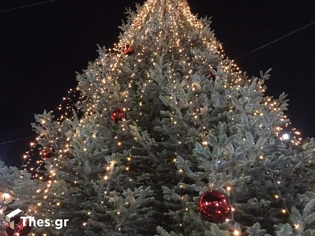 χριστουγεννιάτικο δέντρο χαλκιδική