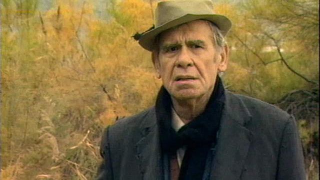 Βασίλης Διαμαντόπουλος