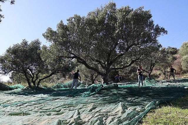 ΚΕΘΕΑ λάδι