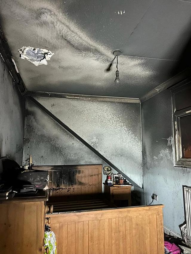 φωτιά σπίτι σκύλος