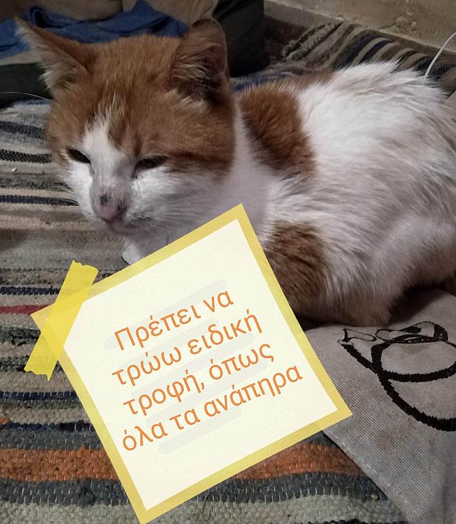 ΓΑΤ