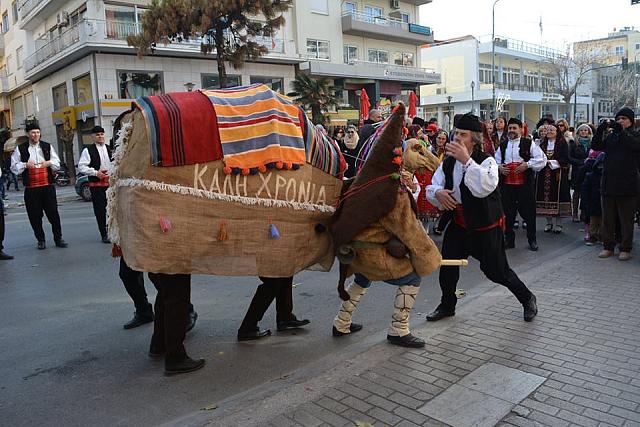καμήλα ξάνθη