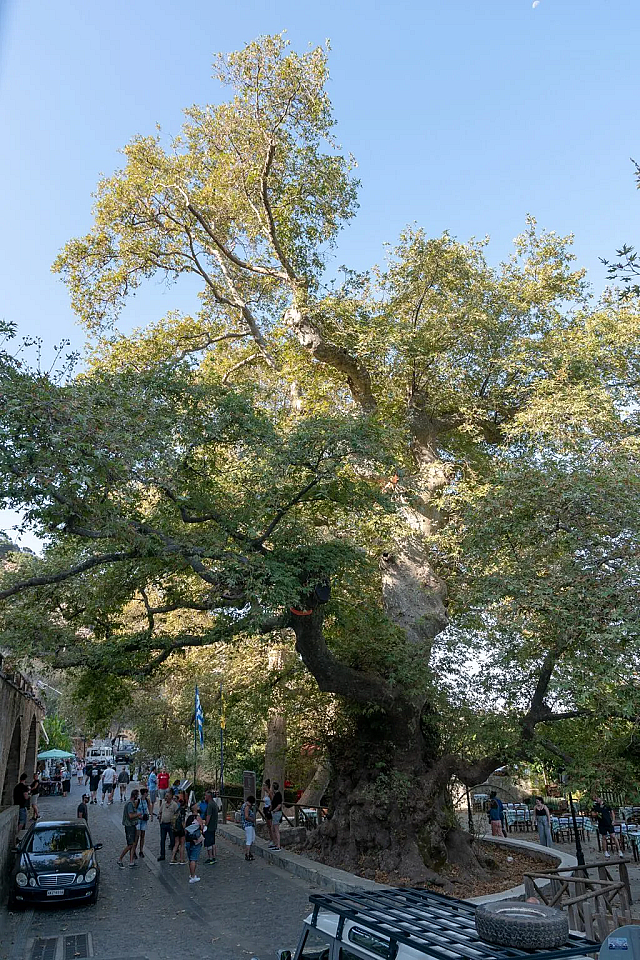 χωριό Κράσι