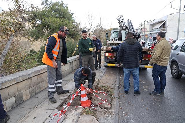 δεντρο