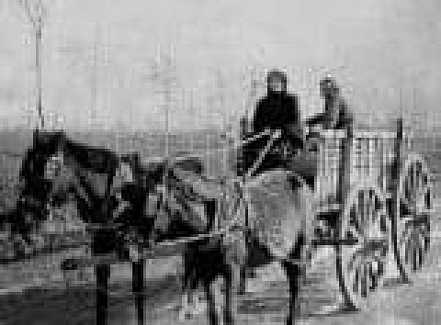 Το 1837 σαν σήμερα ψηφίστηκε στην Ελλάδα ο κώδικας οδικής κυκλοφορίας για τις μετακινήσεις με ζώα