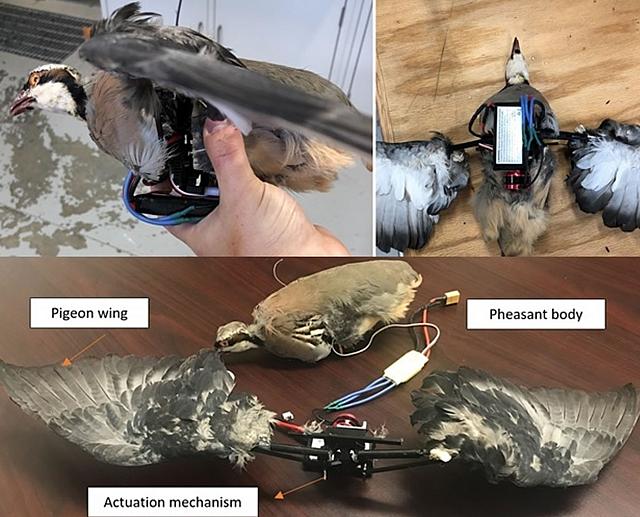 πτηνα drones