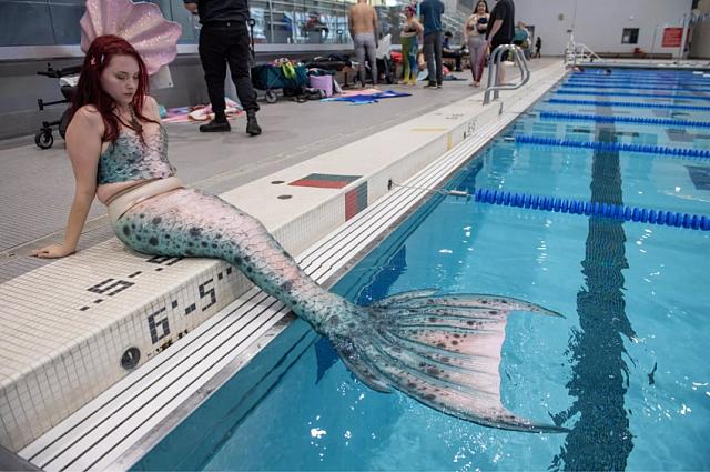 γοργόνες βιρτζίνια