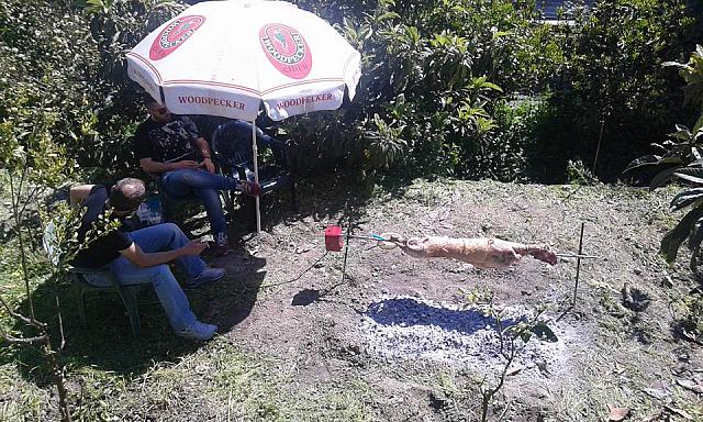 αρνι