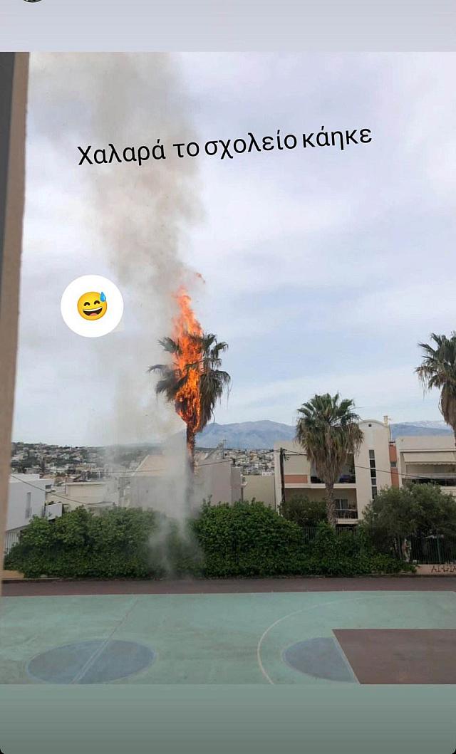 foinikas