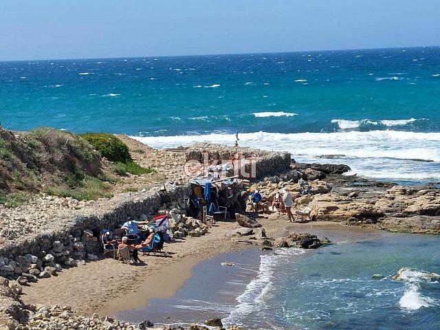 παραλία μουσείο φυσικής ιστορίας