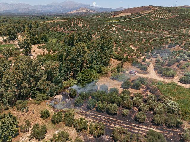 Η καμένη έκταση στον Πρινιά. Φωτογραφία: Γιώργος Τριβυζαδακης