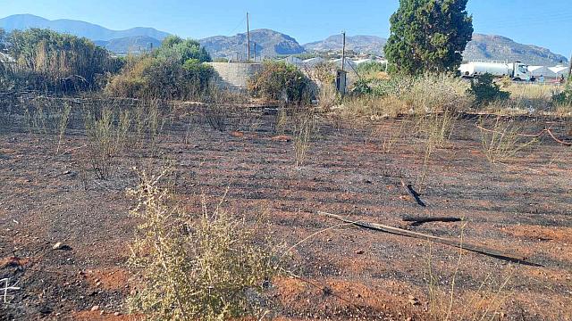 Νέα φωτιά κινητοποίησε την Πυροσβεστική