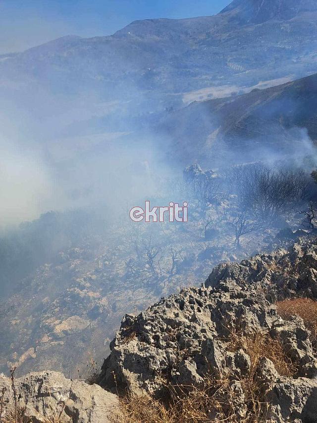 Μάχη των πυροσβεστών για να σωθούν καλλιέργειες και περιουσίες