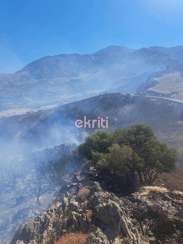 Μάχη των πυροσβεστών για να σωθούν καλλιέργειες και περιουσίες