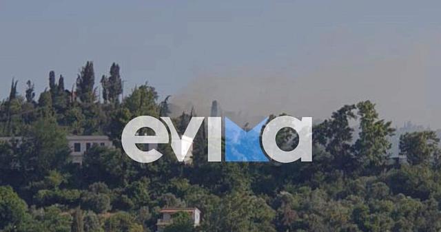 κυμη