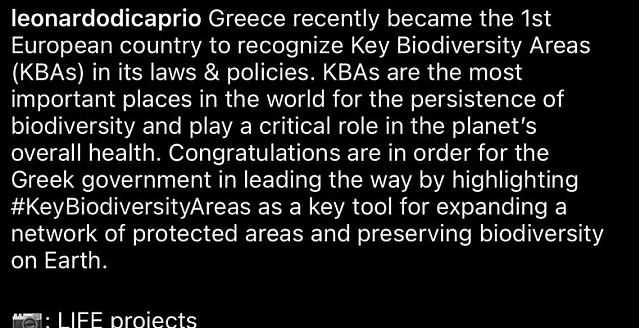 ντι καπριο