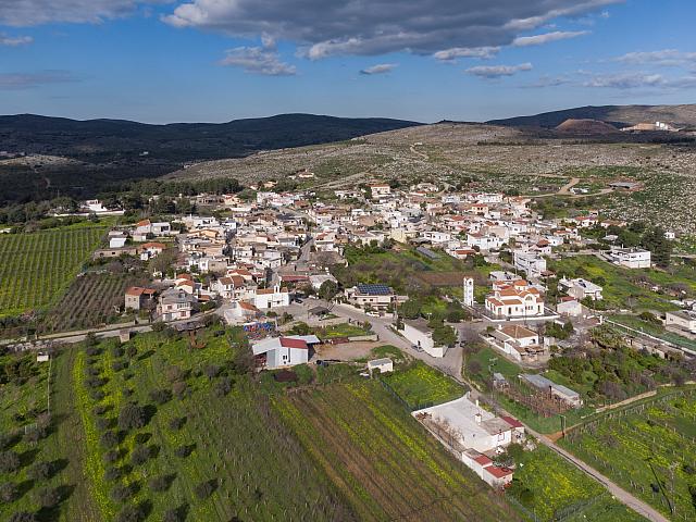 ΖΩΦΟΡΟΙ