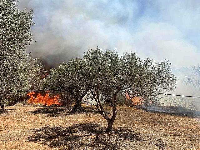 Φωτιά στο Ασήμι