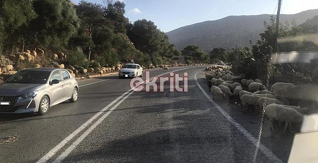 βοακ αρνιά