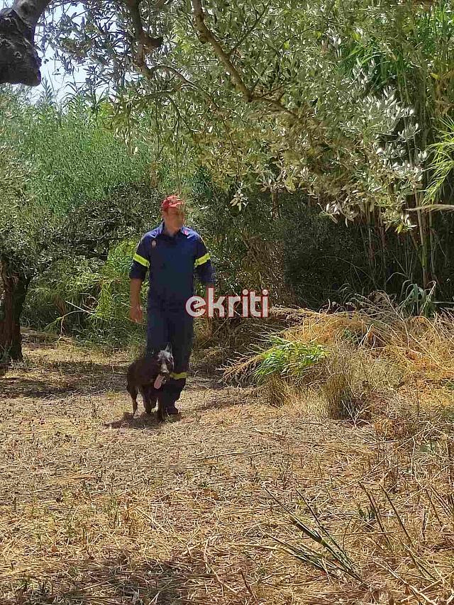 εξαφανιση Αρμανώγεια