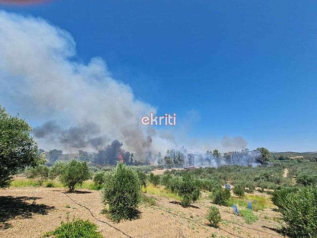 Φωτιά - Μεσαρά