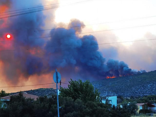 Μενιδι