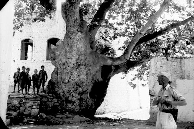 ολοκαυτωμα βιαννου
