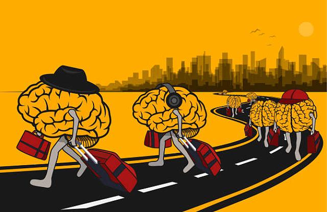 brain drain