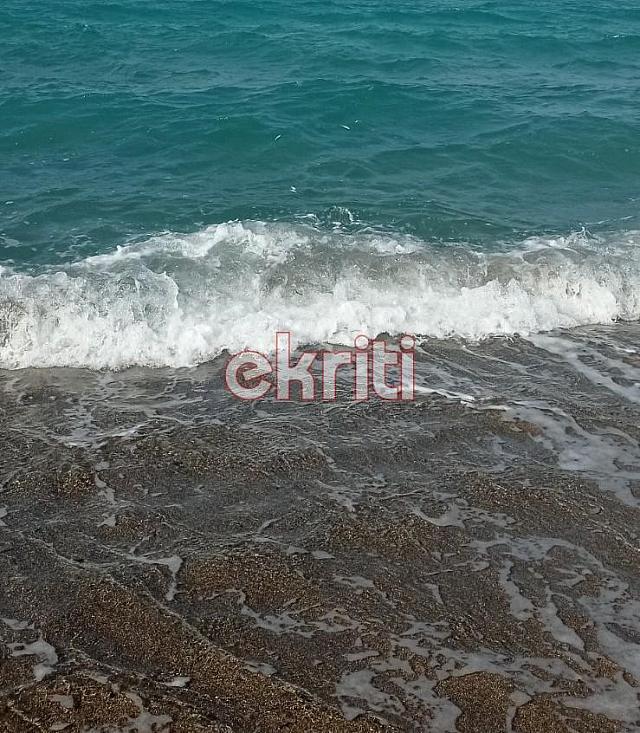 Αμμουδάρα