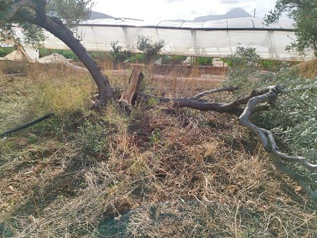 άνεμοι καταστροφές φαλάσαρνα