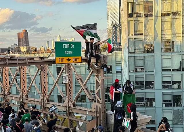 ΔΙΑΔΗΛΩΣΗ ΑΓΑΛΜΑ ΕΛΕΥΘΕΡΙΑΣ