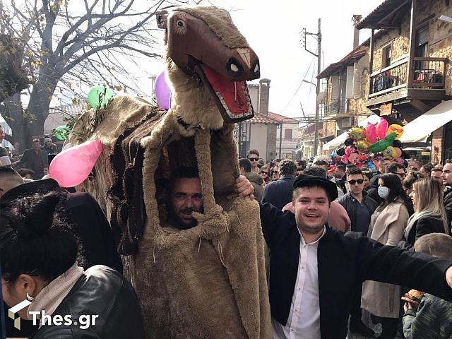 ΕΘΙΜΟ ΚΑΜΗΛΑΣ