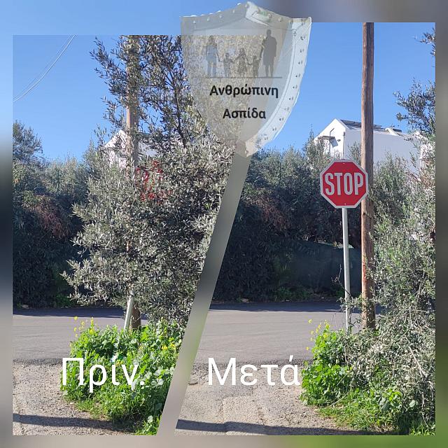 πινακίδες