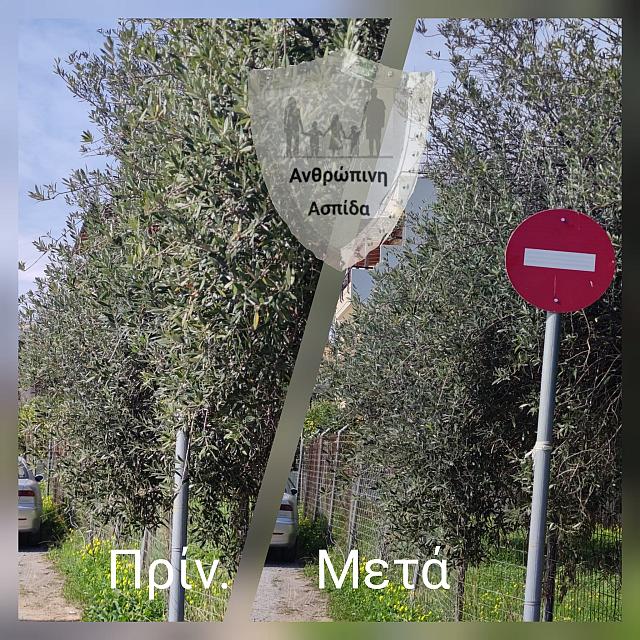 πινακίδες