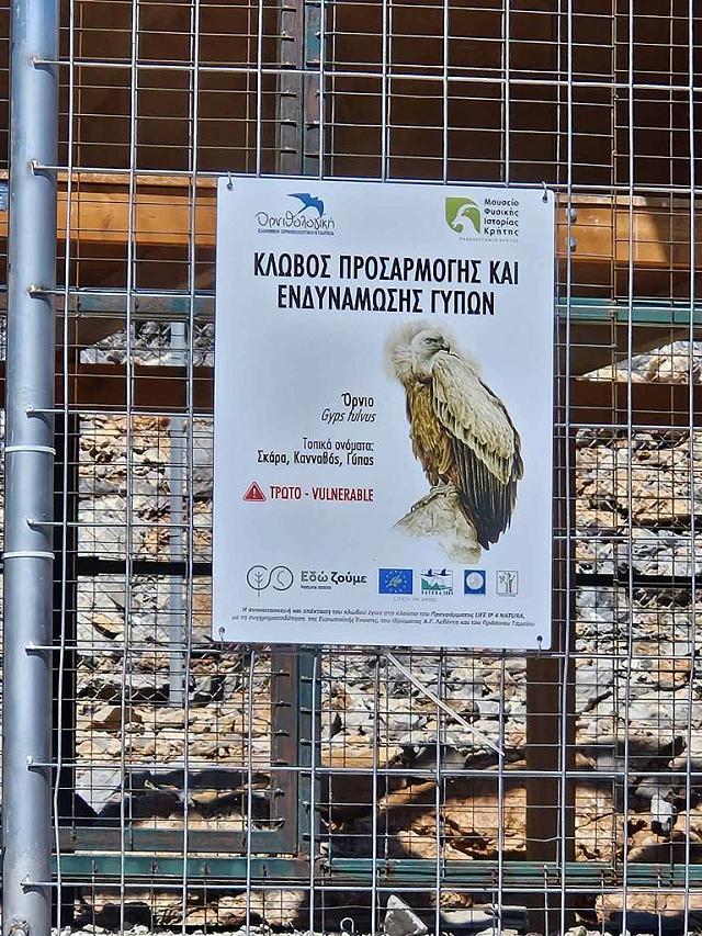 κλωβος γεργερη