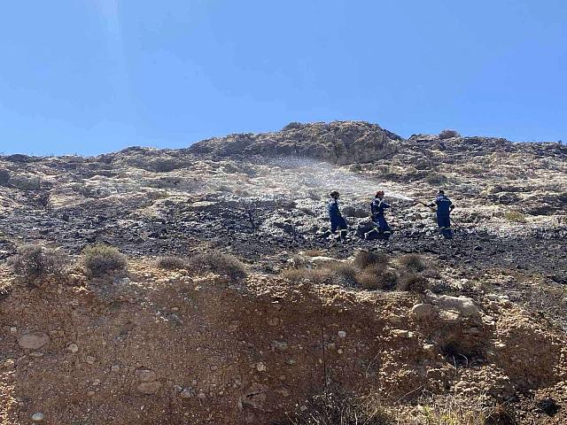 φωτιά καρτερός