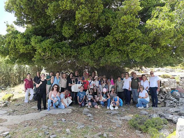 Ψηλορείτης