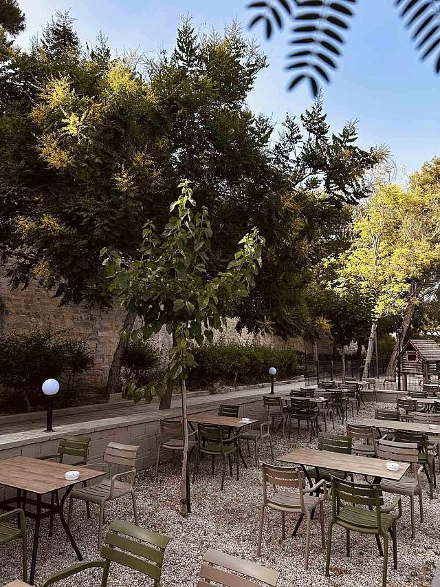 οαση