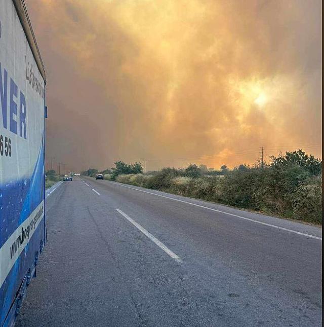 φωτια ευβοια